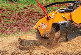 Best Lawn Irrigation Installation and Maintenance  in Grayson, CA