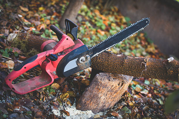Best Pest Control for Lawns  in Grayson, CA